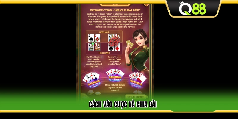 Quy trình đặt cược và chia bài