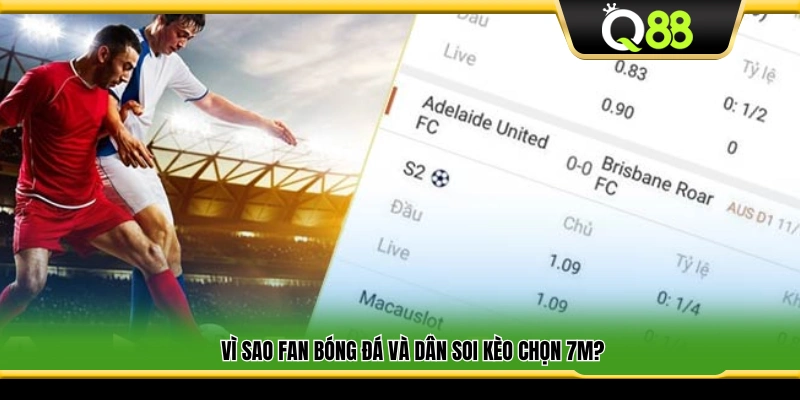 Lý do người hâm mộ và giới soi kèo tin dùng 7M