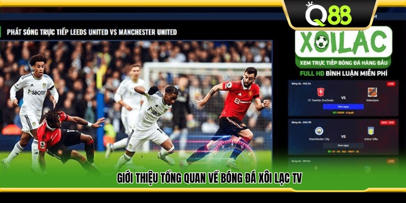 Khái quát chung về bóng đá Xôi Lạc TV