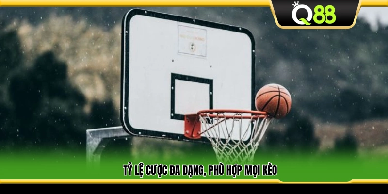 Tỷ lệ cược linh hoạt, hợp với mọi loại kèo