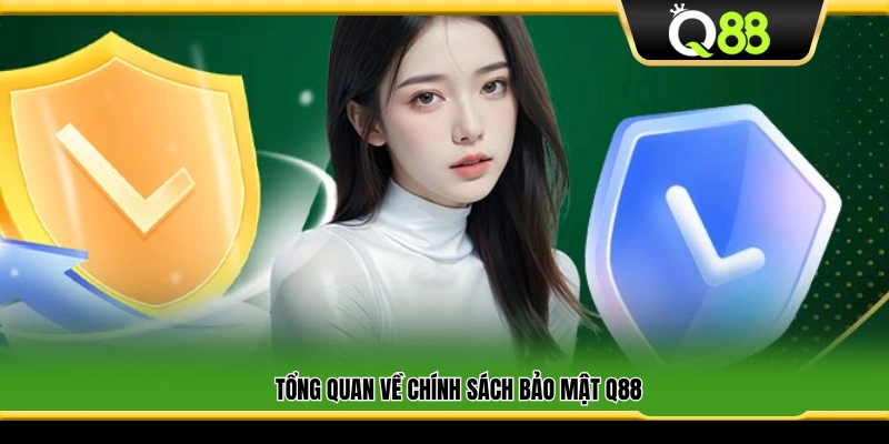 Khái quát chung về chính sách bảo mật tại Q88