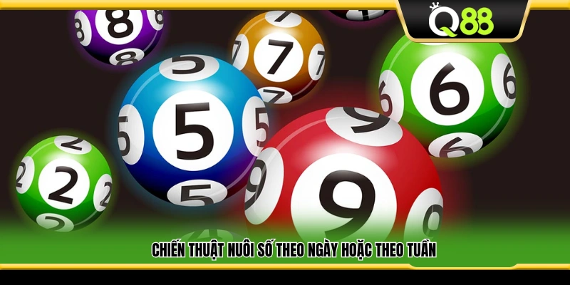 Nuôi số dài hạn theo ngày hoặc tuần