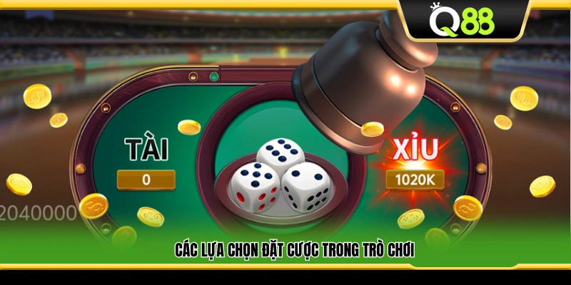 Những cửa cược người chơi có thể chọn